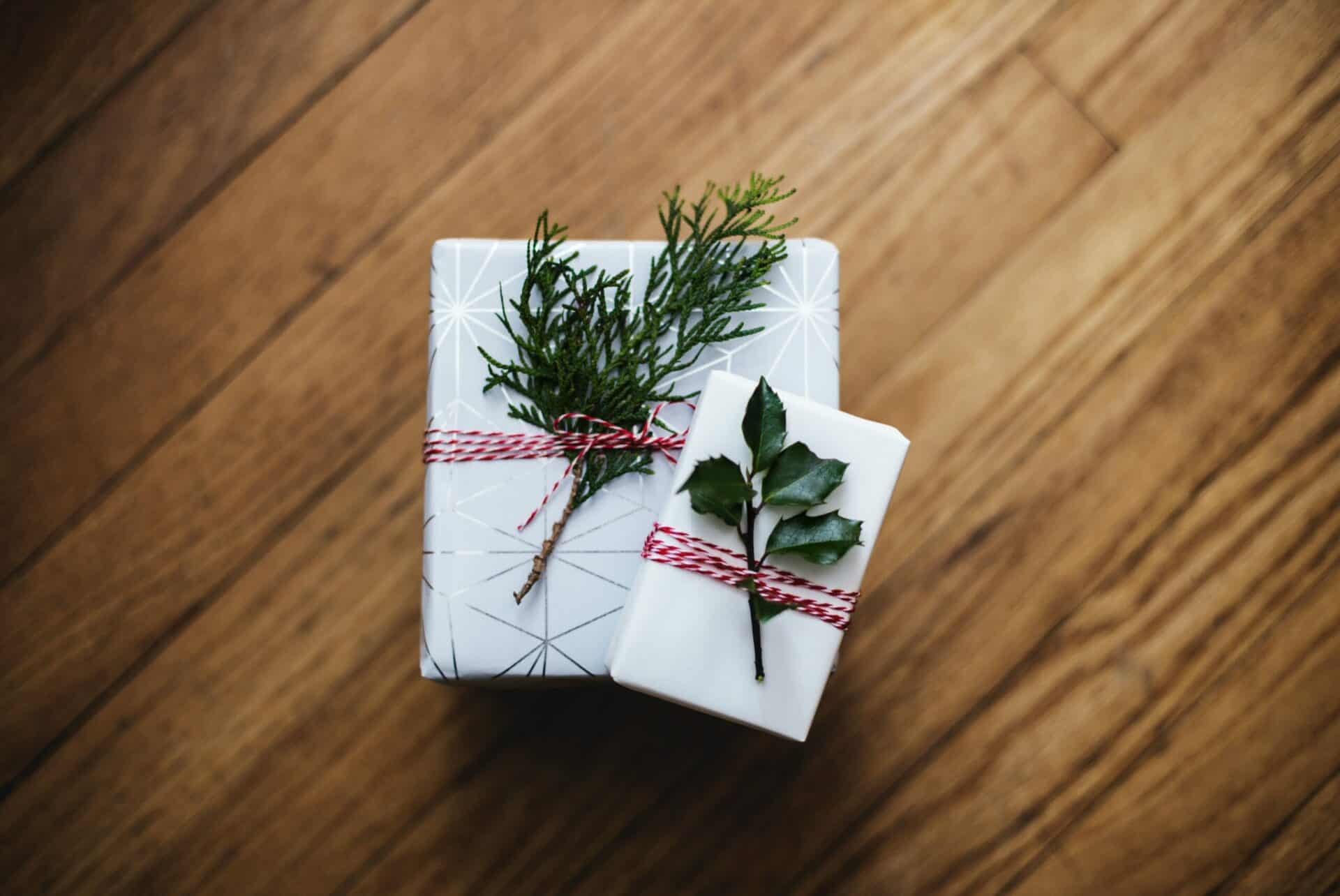 kari shea bc8kllu9vka unsplash