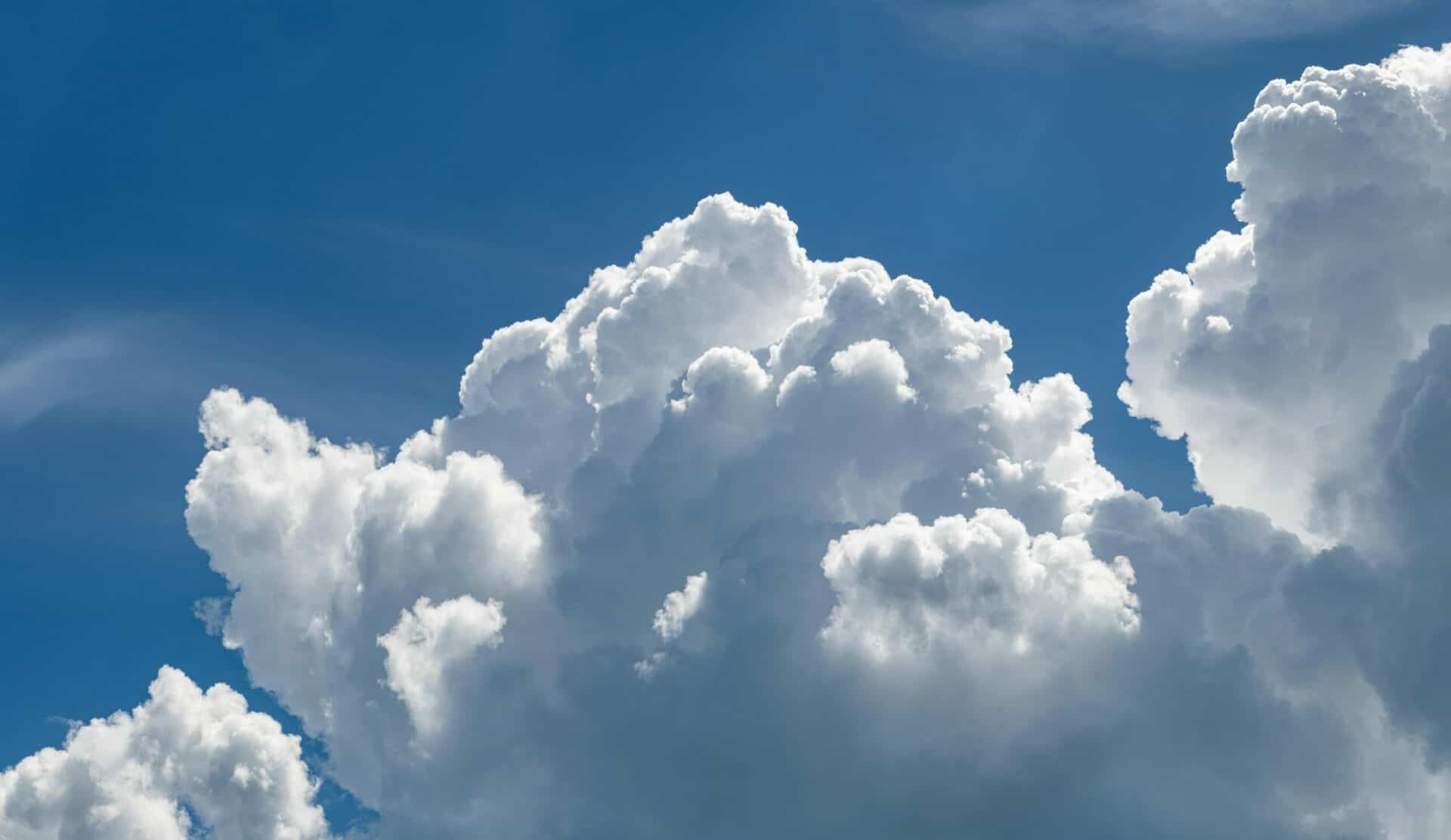 pexels ganajp 5553448