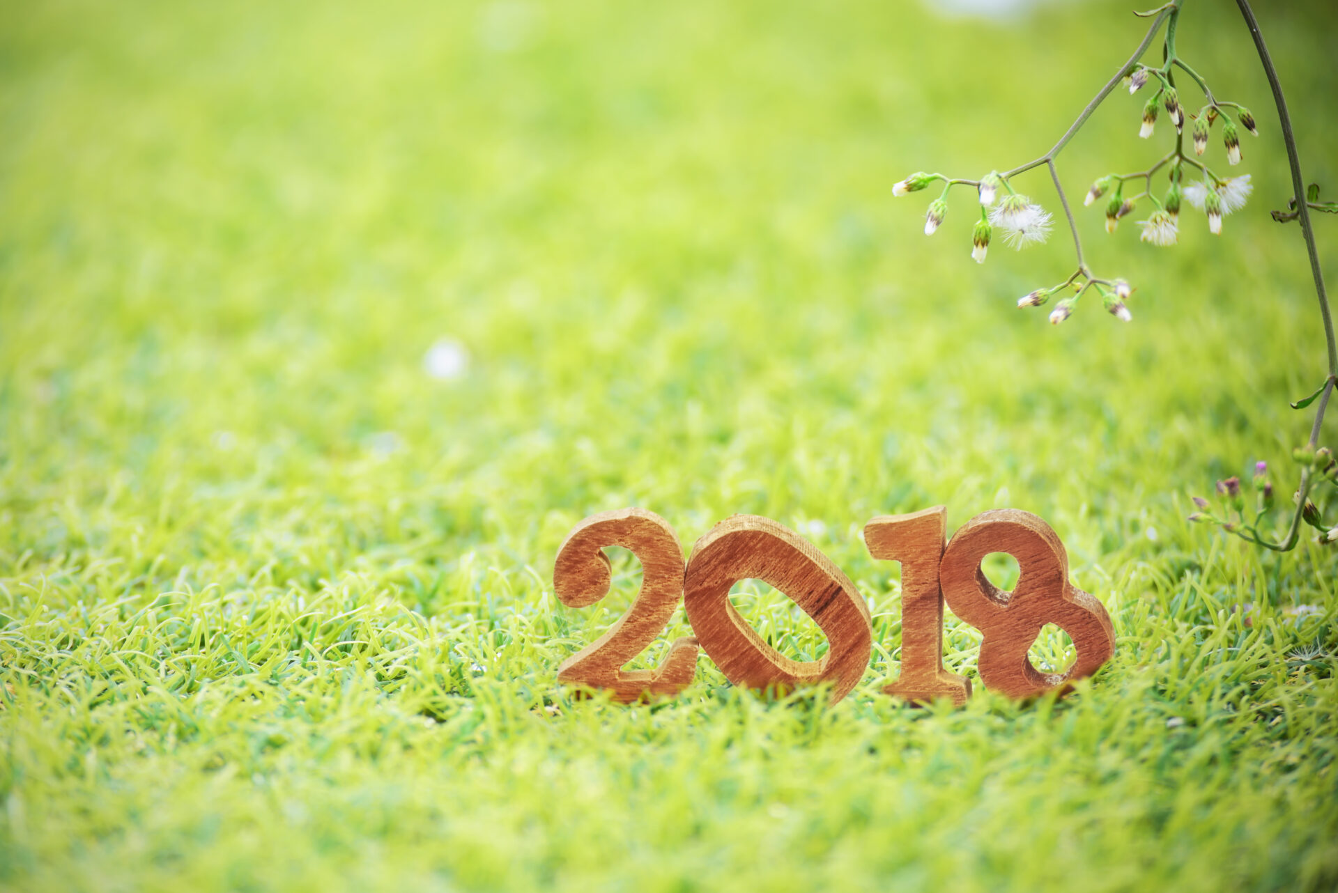 shutterstock 744124303